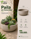 Paila en Concreto 60x30 cm