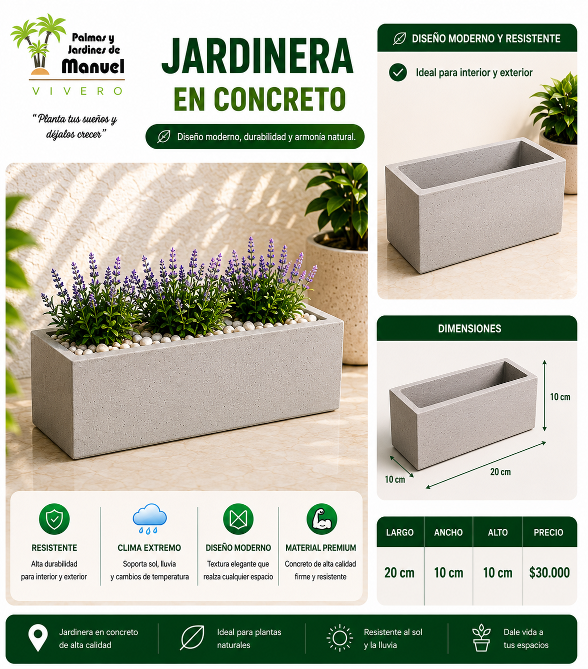 Jardinera en Concreto 20x10x10 cm