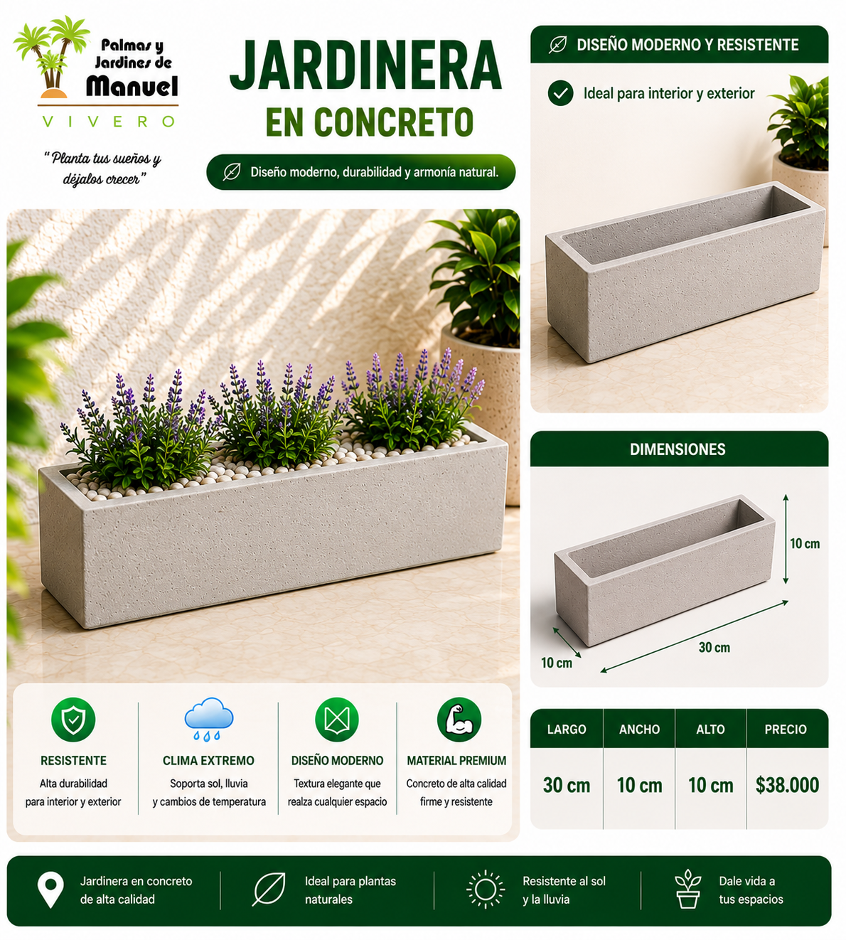 Jardinera en Concreto 30x10x10 cm