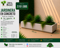 Jardinera en Concreto 110x50x20 cm