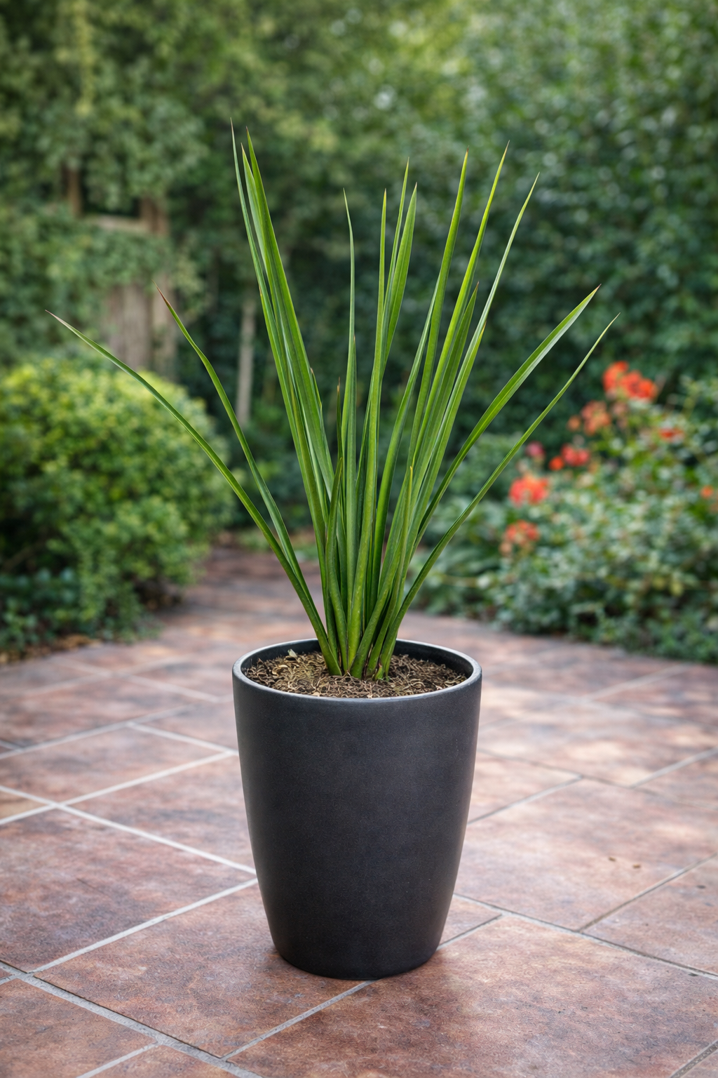 Lino verde