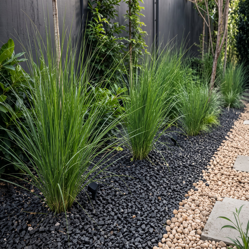 Calamagrostis — foto 3