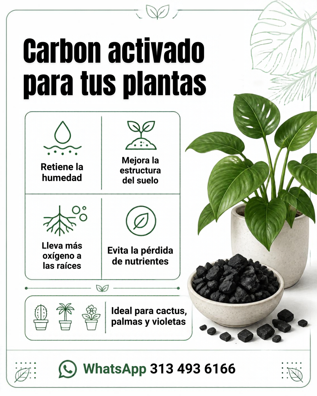Carbón Activado Confiabonos