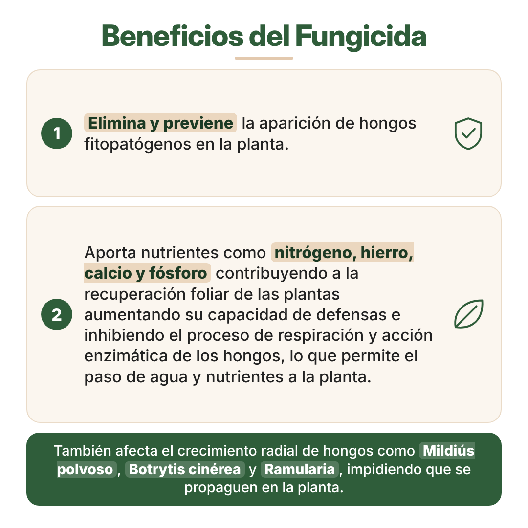 Fungicida Confiabonos - imagen 5