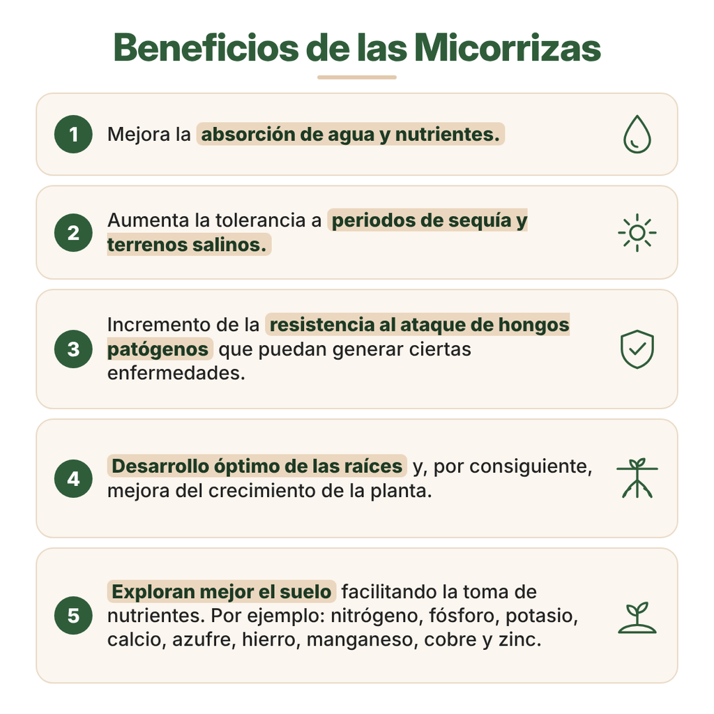 Micorrizas Confiabonos - imagen 5
