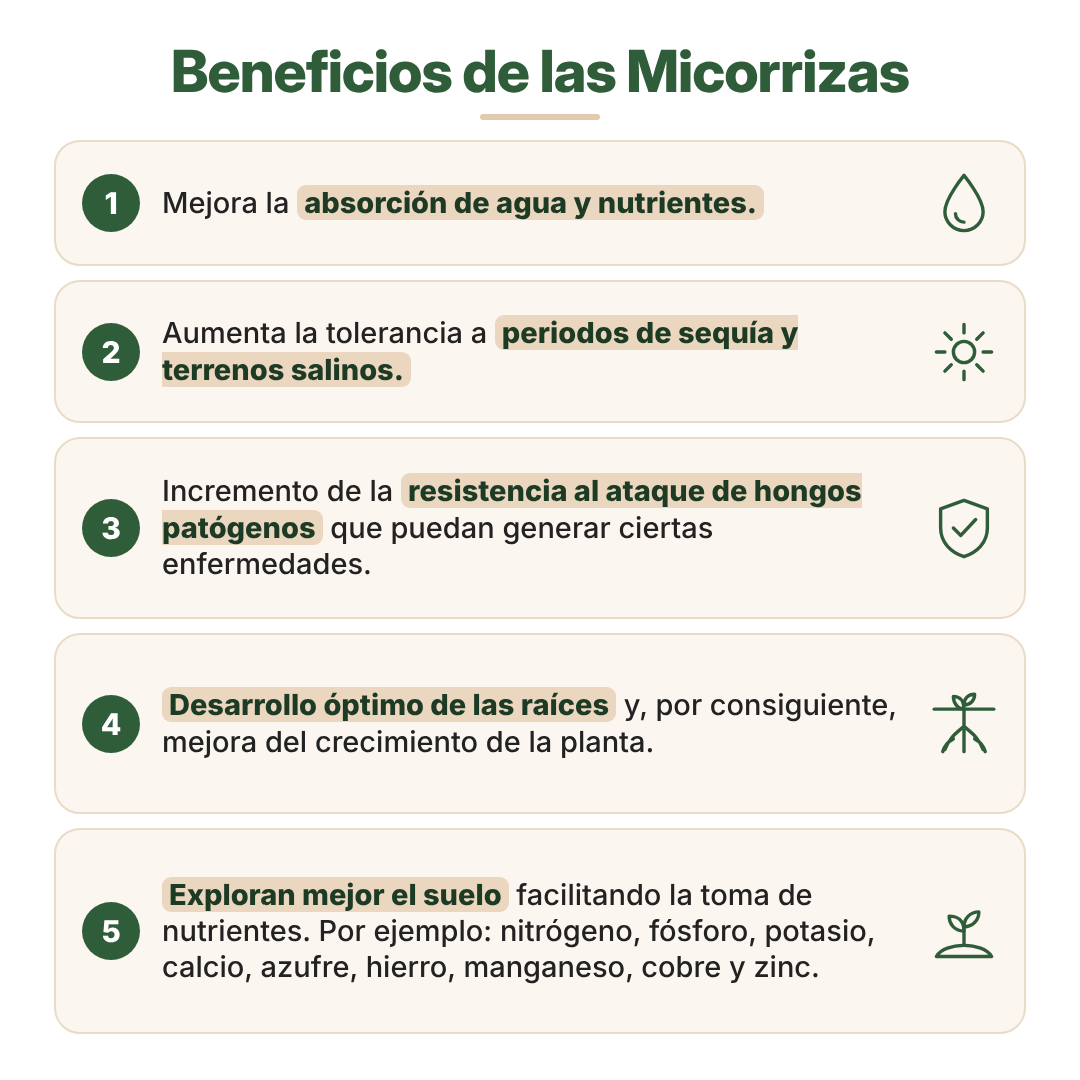 Micorrizas Confiabonos - imagen 5