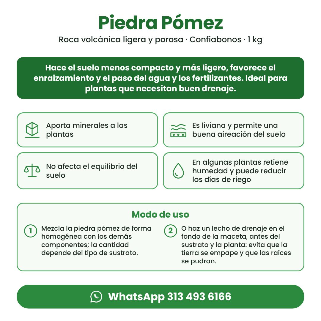 Piedra Pómez Confiabonos 1 kg